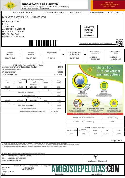 Para baixar modelo Word e PDF de projeto de lei de serviços públicos da Índia IGL